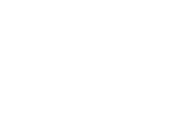Diagram showing the IMD™ integrated delivery system